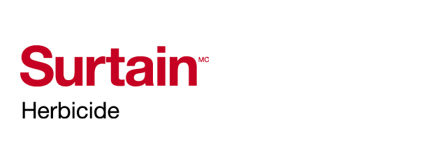 Surtain logo